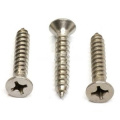 St.22*15mm Self tapping screws with Phillips CSK head Fine Thread Sharp point  Pozi stainless steel